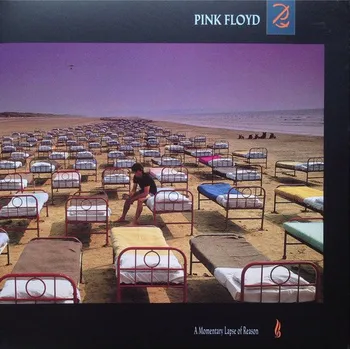 Zahraniční hudba A Momentary Lapse Of Reason - Pink Floyd