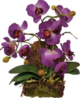 Lucky Reptile Jungle Plants závěsná orchidej 20 x 30 cm fialová