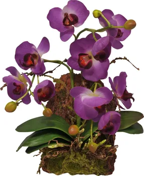 dekorace do terária Lucky Reptile Jungle Plants závěsná orchidej 20 x 30 cm fialová