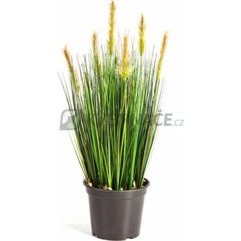 umělá květina Foxtail Grass Green 60cm - Do interiéru