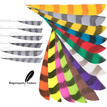 Křidélko šipu Peří BSW Barred