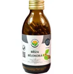 Salvia Paradise Bříza bělokorá