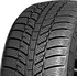 Zimní osobní pneu Evergreen EW62 195/65 R15 91 T
