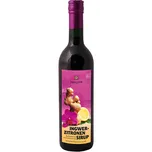 Sonnentor Bio Zázvor a citron 500 ml