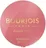 Bourjois Paris Blush Fard Pastel 2,5 g, 16 Rose Coup de Foudre 