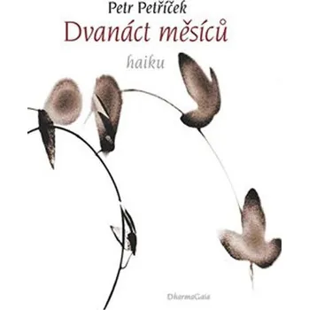 Poezie Dvanáct měsíců: 108 haiku - Petr Petříček