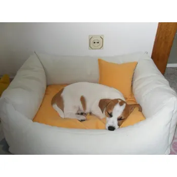 Pelíšek pro psa DELUXE Pelíšek pro psa - ecru / oranžová / oranžová