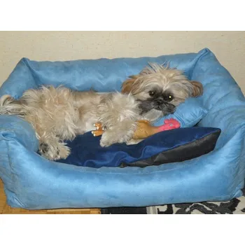 Pelíšek pro psa DELUXE Pelíšek pro psa - modrá / granát - tmavý / modrá