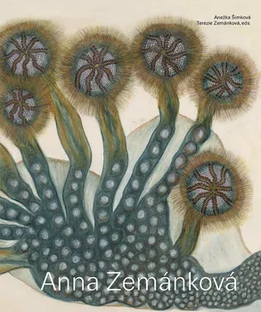 Umění Anna Zemánková - Terezie Zemánková, Anežka Šimková