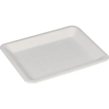 Jednorázové nádobí Talíř / tácek obdélníkový BIO cukrová třtina 20 x 15 cm (50 ks)