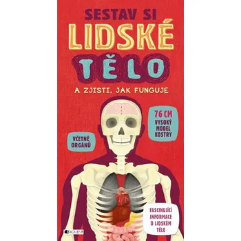 Bystrá hlava Sestav si lidské tělo - Fragment