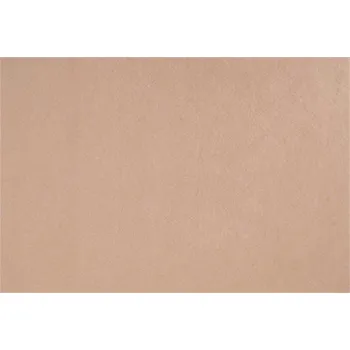 NO NAME Plst, béžová, A4, 1 mm ,balení 10 ks 25206