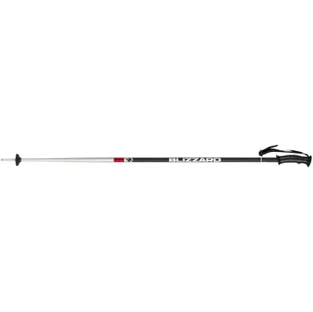 Blizzard Rental Ski Poles černé/stříbrné