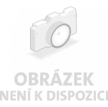 Pilový pás 2320 x12,7 mm,6 z/1