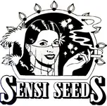 Sensi Seeds Mr Nice G13 x Hash Plant 10ks Regular (Regular)