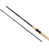 Rybářský prut Shimano Beastmaster EX Spininng H 270 cm/20 - 50 g