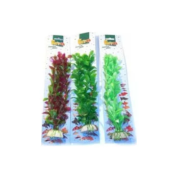 Dekorace do akvária Tatrapet akvarijní rostlina Ludwigia na kartě 15-20cm 1x zelená,1x červená