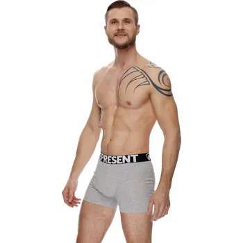 Pánské spodní prádlo Represent sport grey