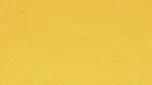 Brotex Jersey 220 x 200 cm sytě žluté
