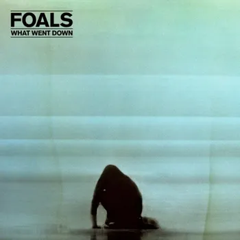 Zahraniční hudba What Went Down - Foals [LP]