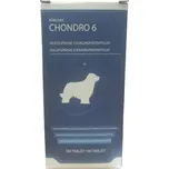 Roboran Chondro 6 pro psy