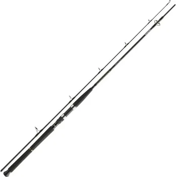 Rybářský prut Recenze Daiwa BG Boat 240 cm/150 - 400 g