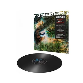Hudba A Saucerful Of Secrets - Pink Floyd [LP]