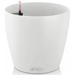 Lechuza Classico Color 21 x 20 cm