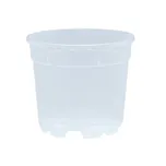 Nohel Garden Cambria 14 cm transparentní