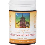 TCM Herbs Svěžest podvečerní pagody 100…