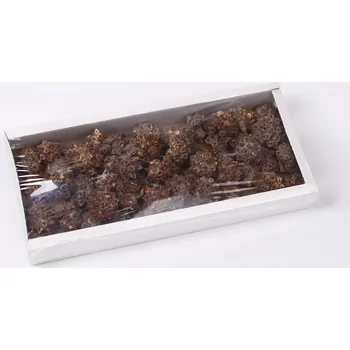 Zahradní dekorace SU Spidergum Knobs Frosted Oranžový 50ks (0664979969265)