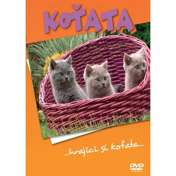 DVD film DVD Koťata (2015)
