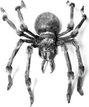 EuroPalms Pavouk šedý s kusadly 130 cm