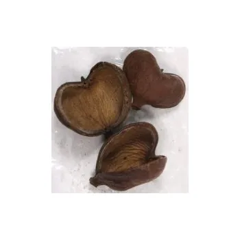 umělá květina Dekorace - Buddha Pods 3ks