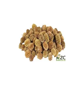 umělá květina Dekorace - Casurina 40g