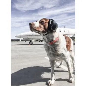 Taktická sluchátka pro psy