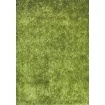 Spoltex Lilou Green 120 x 170 cm
