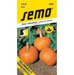 SEMO Tykev plazivá Yellowgirls F1 3 g