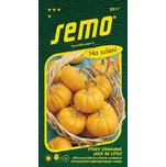 SEMO Tykev okrasná Jack Be Little 1,5 g