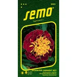 SEMO Harmony Boy Aksamitník rozkladitý…