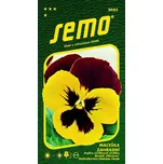 SEMO Maceška zahradní Mistral S1…