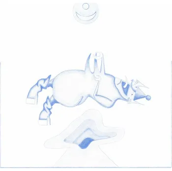 Zahraniční hudba Ape In Pink Marble - Banhart Devendra [LP]