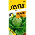 SEMO Salát římský Globus 0,7 g