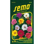 SEMO Šrucha velkokvětá - plnokvětá směs…