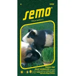 SEMO Tráva pro malé hlodavce 10 g 