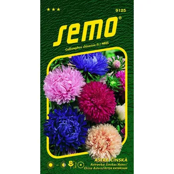 Semeno SEMO Astra čínská Pivoine 0,5 g