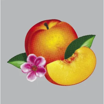 Zahraniční hudba Bankrupt! - Phoenix [LP]