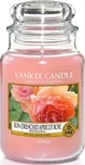 Yankee Candle Sun-Drenched Apricot Rose
