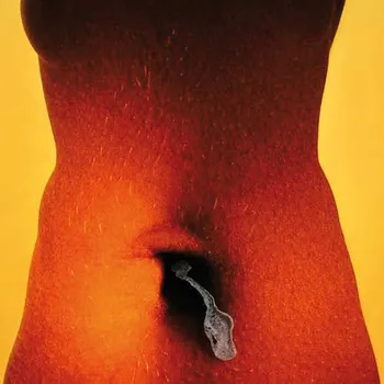 Česká hudba Ladě - Lešť (2015) (CD, MAM704-2)