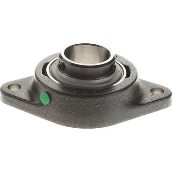 FLCTEY25-XL INA litinové oválné těleso s ložiskem zajištěným na červíka